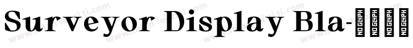 Surveyor Display Bla字体转换